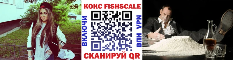 COCAIN Эквадор  Купить закладки  Новоузенск 
