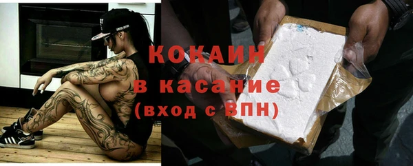 шишки Дмитриев