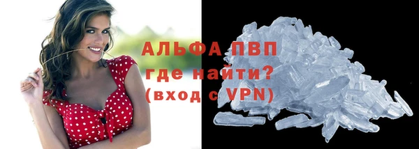 шишки Дмитриев