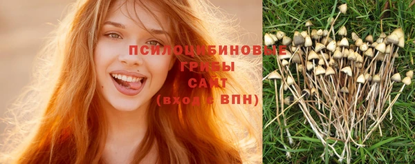 не бодяженный Дмитровск