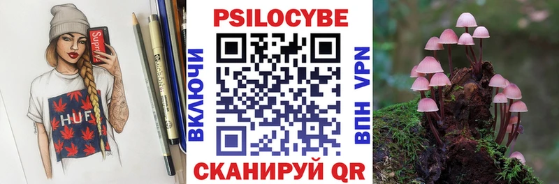 Псилоцибиновые грибы мицелий  Купить  Новоузенск 