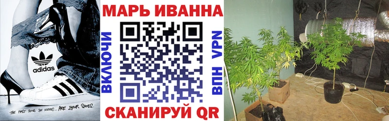 Марихуана Bruce Banner  Купить закладки  Новоузенск 